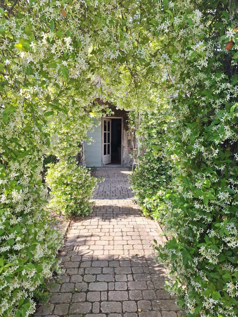 Mas des Figues, Saint-Rémy-de-Provence - photo 89
