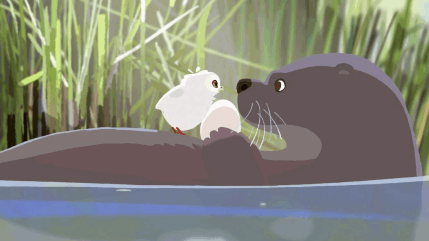 L&rsquo;odyssée de Choum | Séances uniques