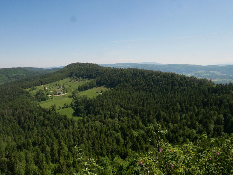 Panorama Planachat