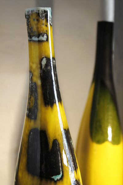 Muriel Lacaze La Tour d'Aigues