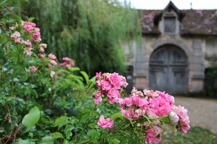 chartreuse - eductour Bresse - 9 aout 2018