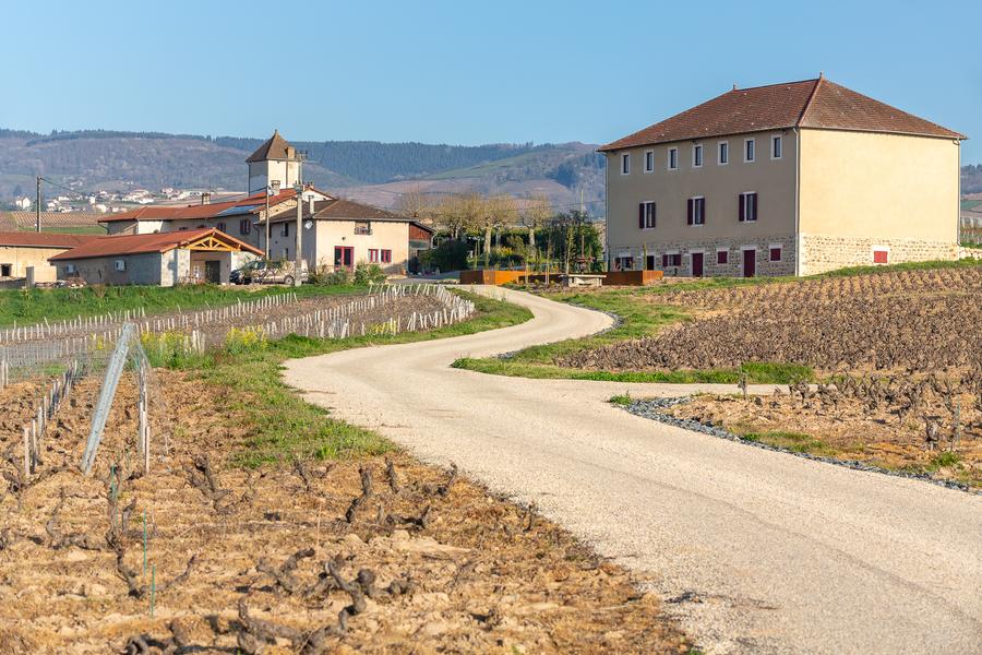 Aire de camping-cars chez le producteur_Villié-Morgon