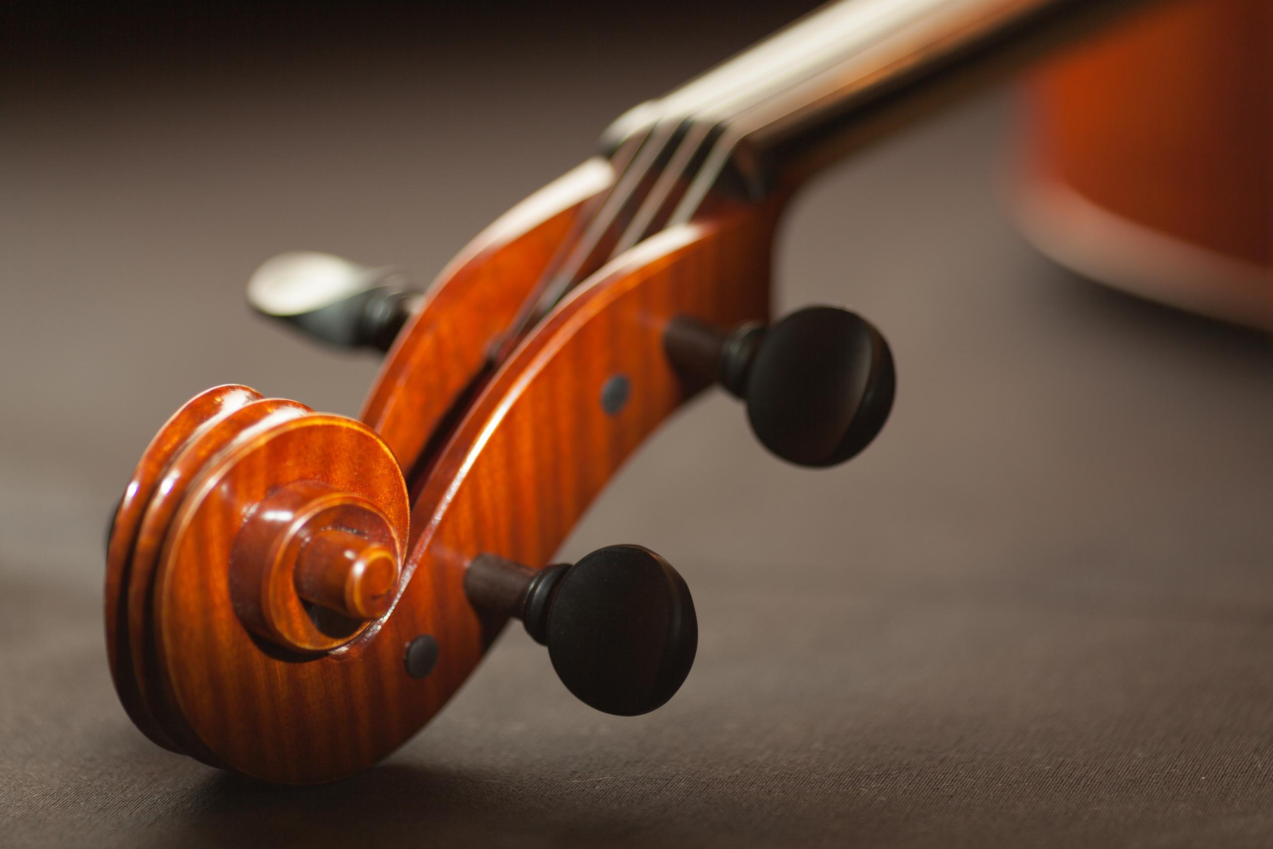 Concert les Eurochestries