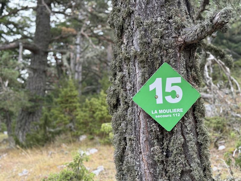 Circuit VTT N°50 La Pitchoun_Caille