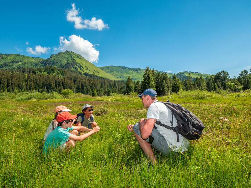 Tourbière de Sommand