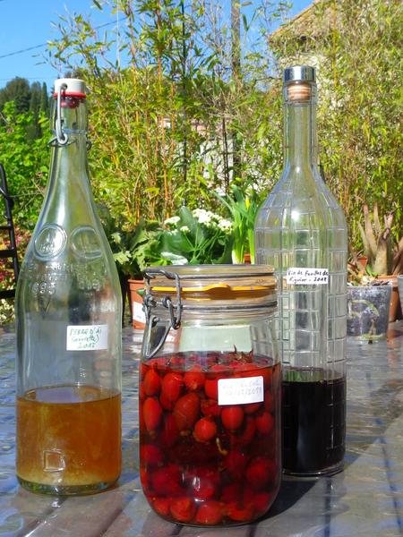 Plantes et recettes paysannes_Montbrun-les-Bains