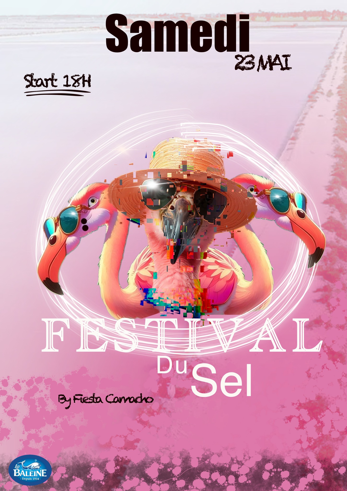 Festival du Sel