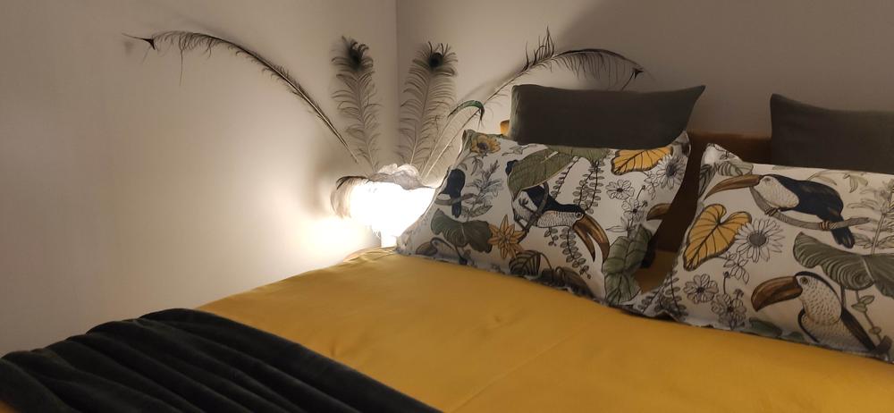 Le Lemon Tree - Gîte 4* à Panossas