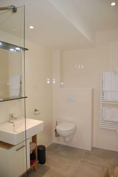 Le Prieuré n°1-Toilette-Saint-Blaise-Gîtes de France des Alpes-Maritimes