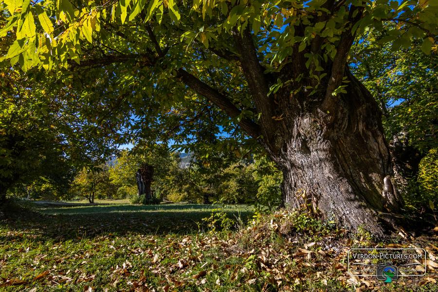 Rendez-vous Pays d'art et d'histoire