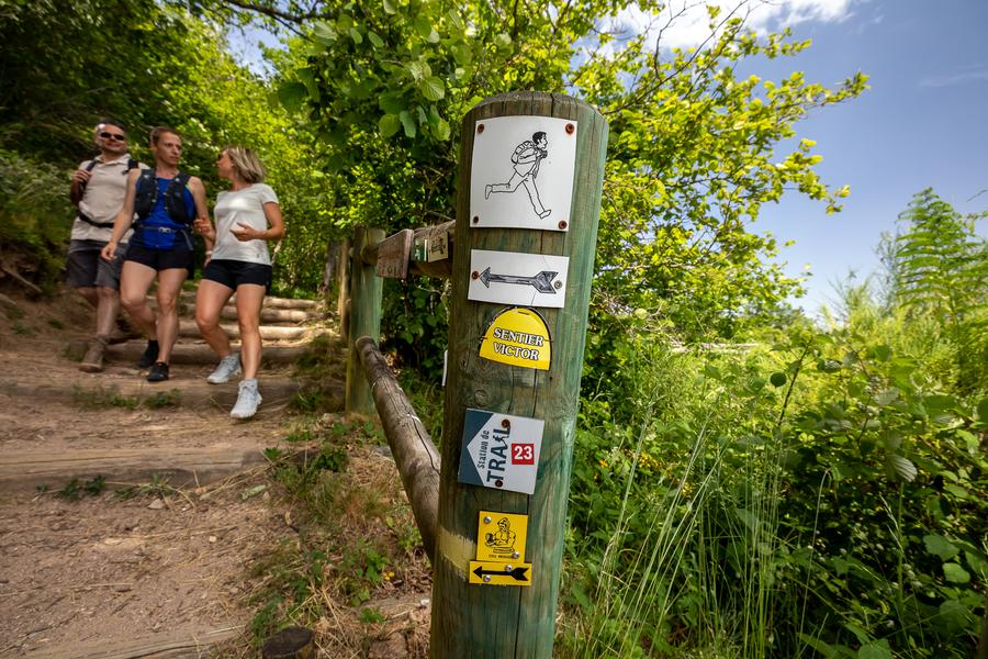 Terrasse de Chiroubles_Chiroubles