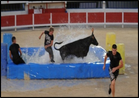 Toro piscine et clowns taurins avec le club taurin Lou Santen