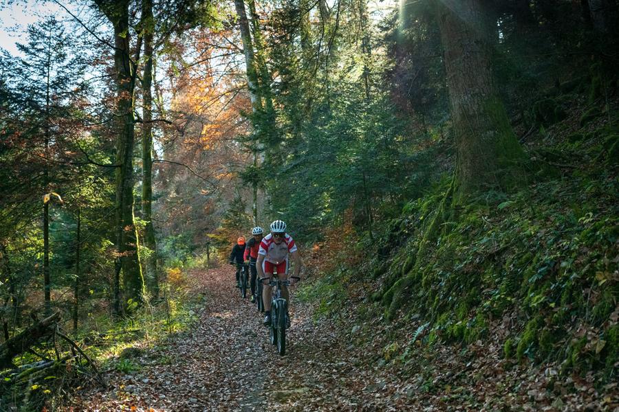 Passage en sous bois