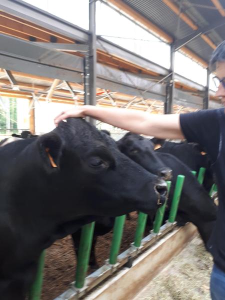 Ferme du Trèfle, les coulisses de l'innovation_Vandeins