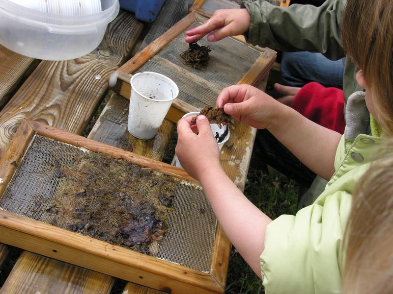 Les vacances à Salagon : atelier Fabrique ton papier recyclé