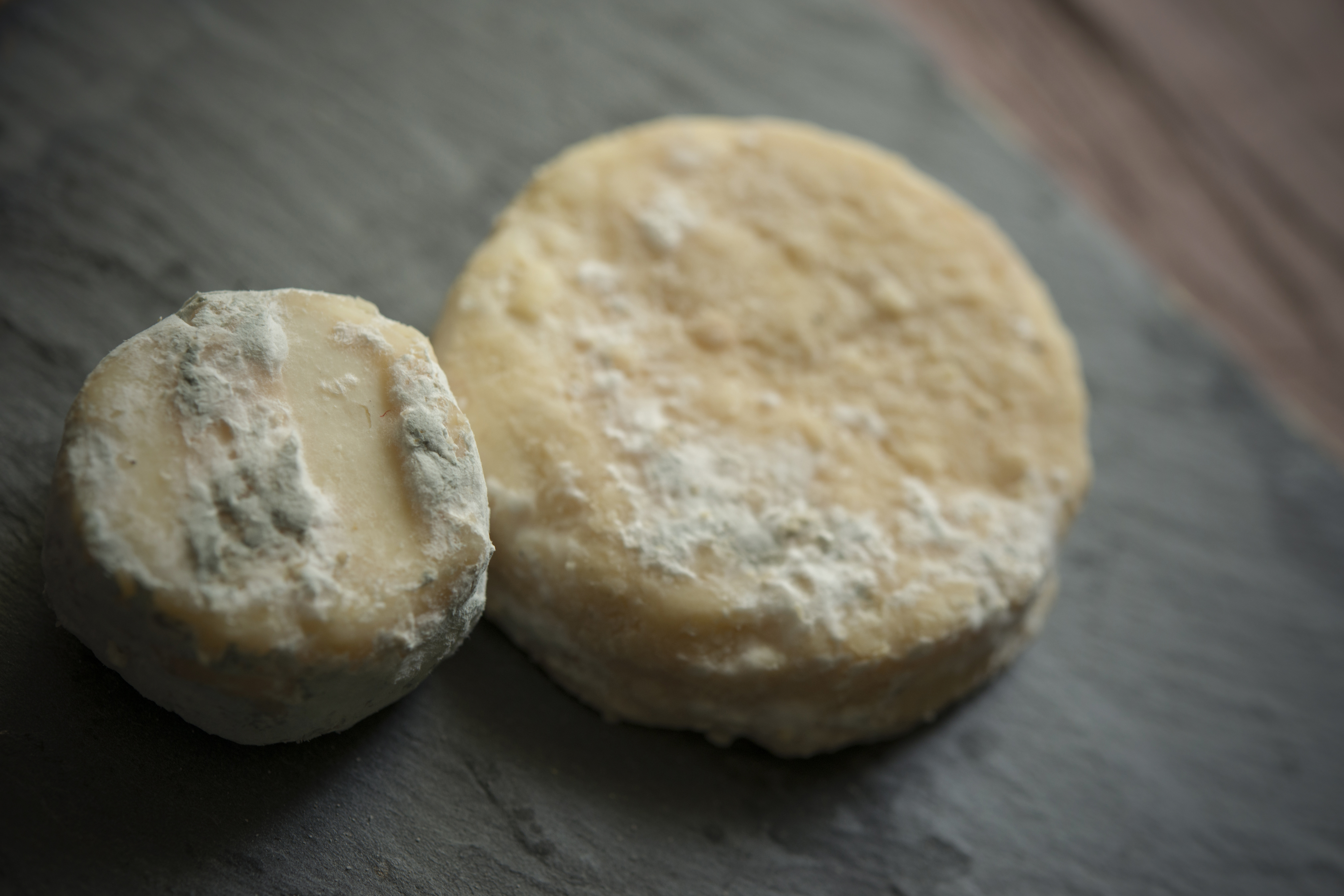 Atelier - Picodon : la science d’un fromage d’exception_Davézieux