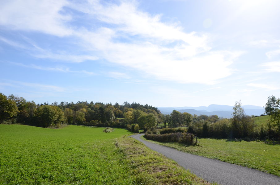 Randonnée - Maquis de Chougeat