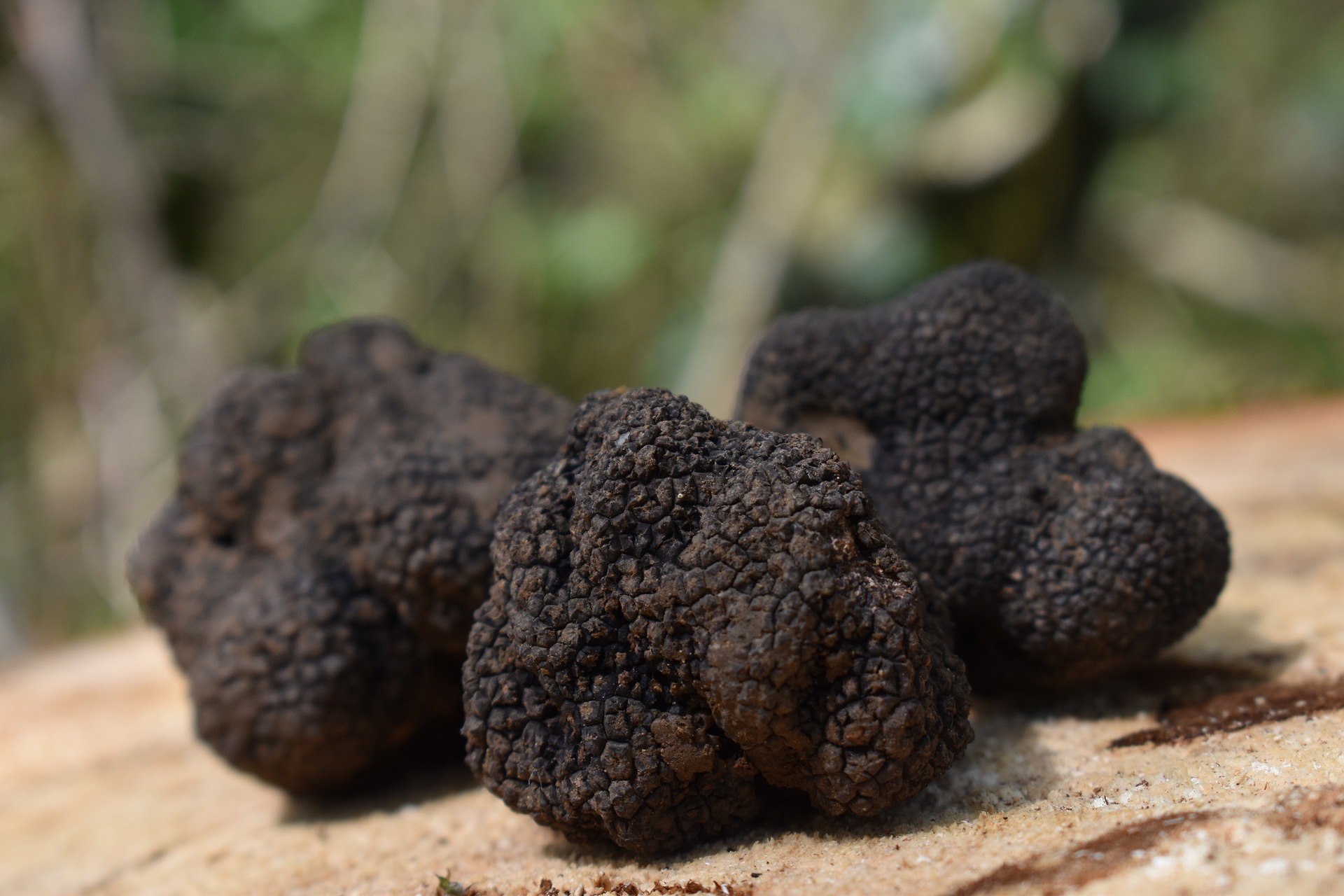 Truffes