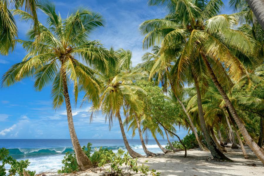 Après-midi découverte des Antilles
