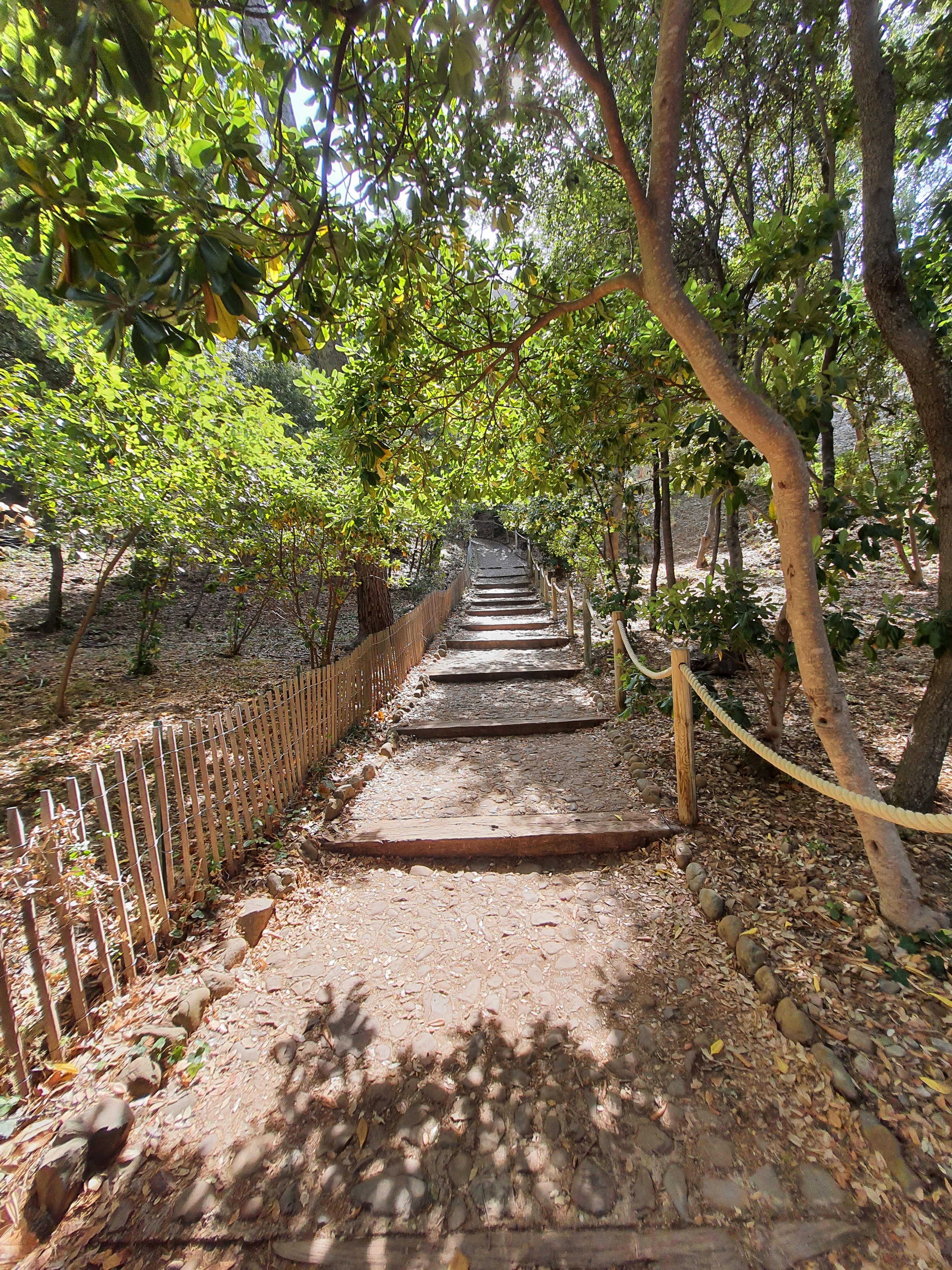 Découverte des Calanques, La Ciotat - photo 7