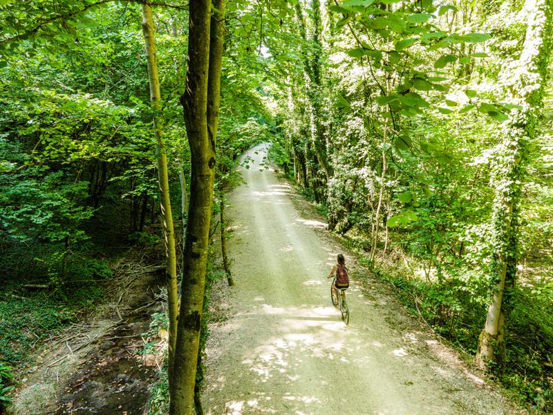 Voie verte des Balcons du Dauphiné en trottinettes électriques tout-terrain à moins d'une heure de Lyon