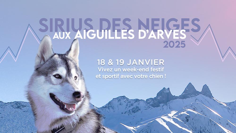 Sirius des Neiges aux Aiguilles d