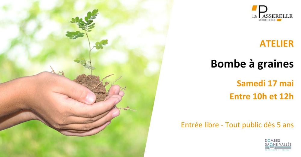 http://Bombe%20à%20graines