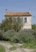 Réserve nationale de Camargue
