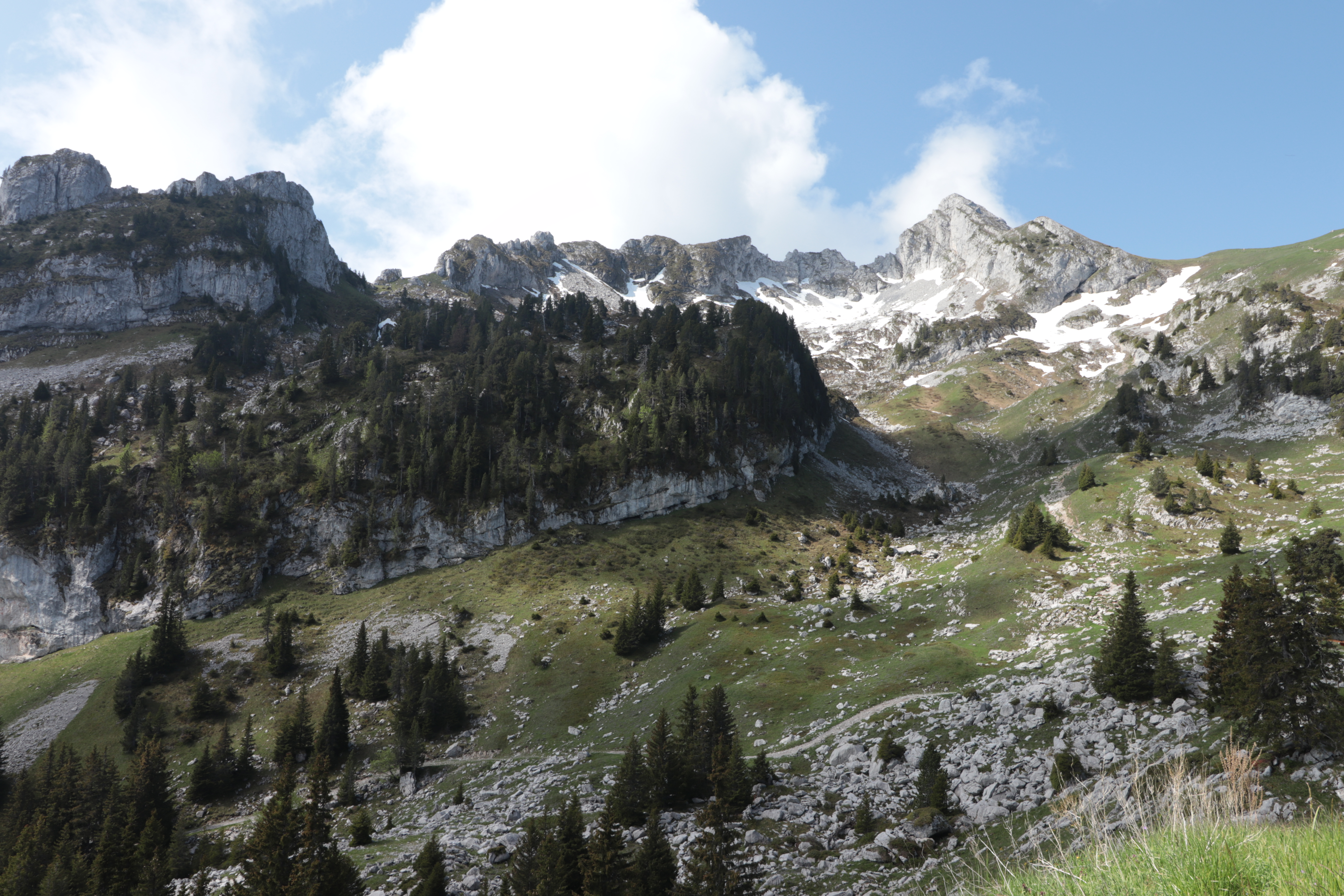 photosFeed-https://static.apidae-tourisme.com/filestore/objets-touristiques/images/254/82/22434558.jpg