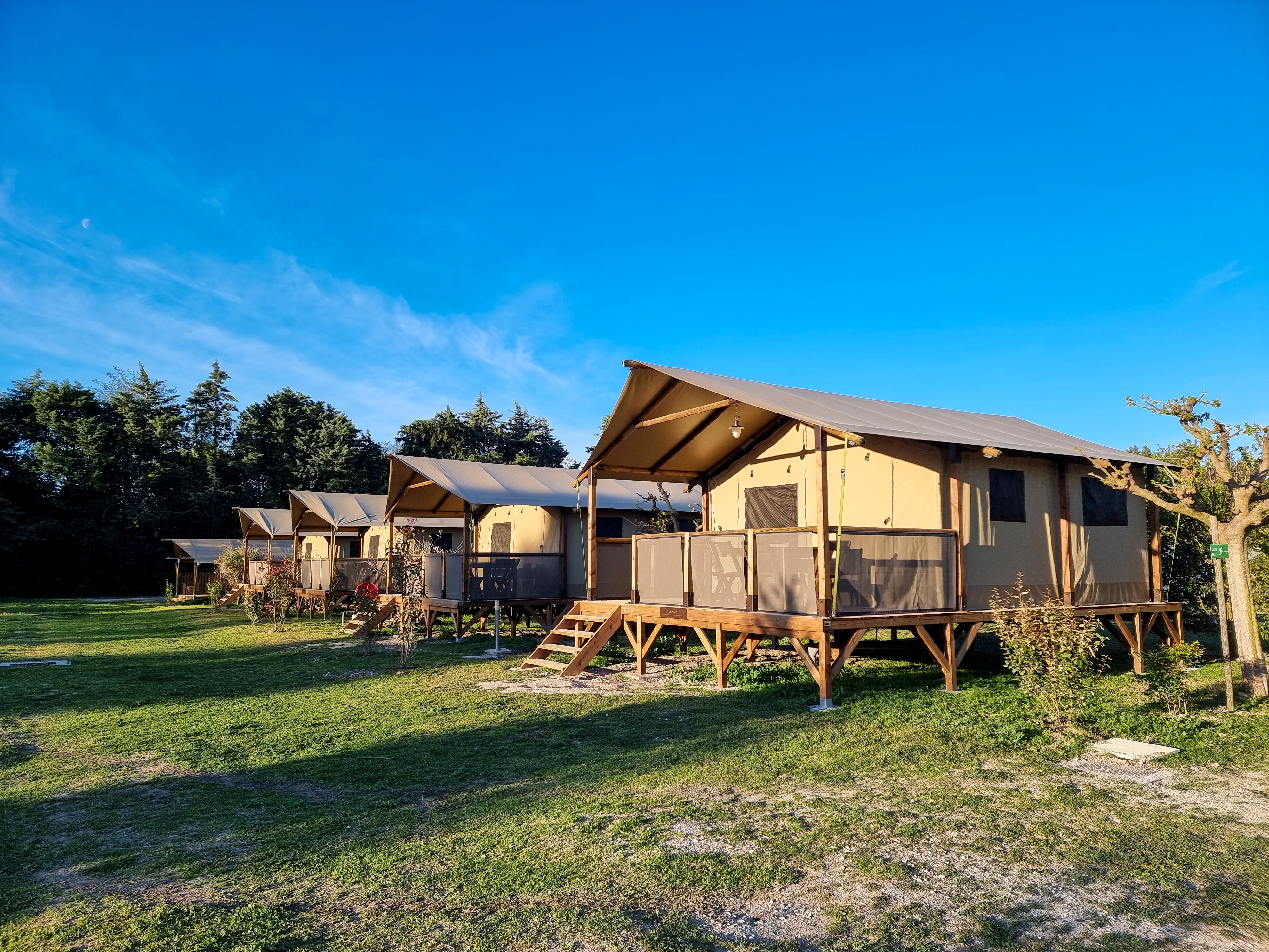 Les Micocouliers - photo 4