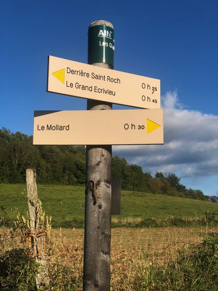 Circuit de randonnée pédestre : Le circuit du Sorbier