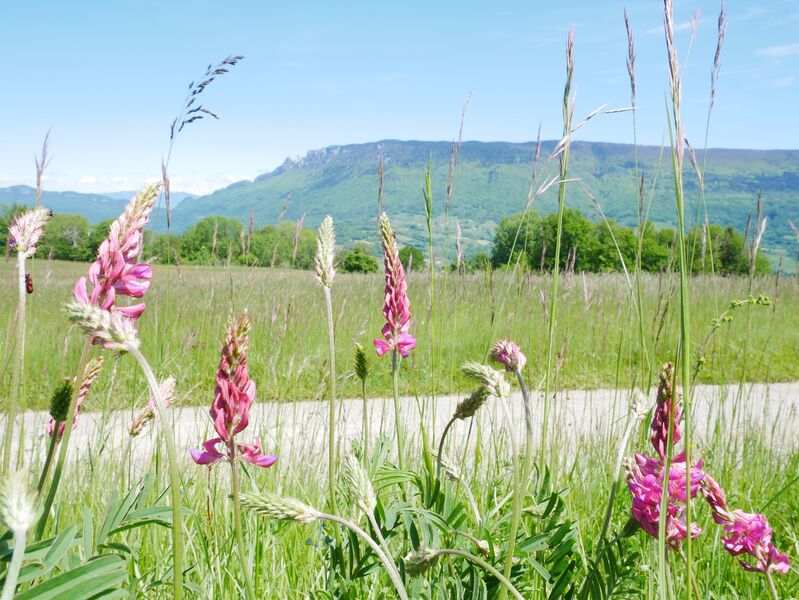 Paysages de Loisieux et Mont du Chat