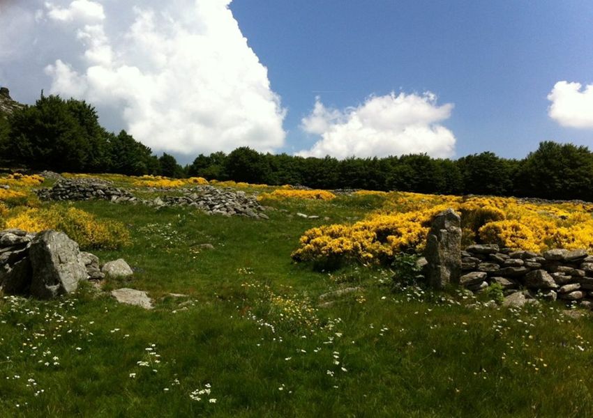 jardins des Rabeirasses