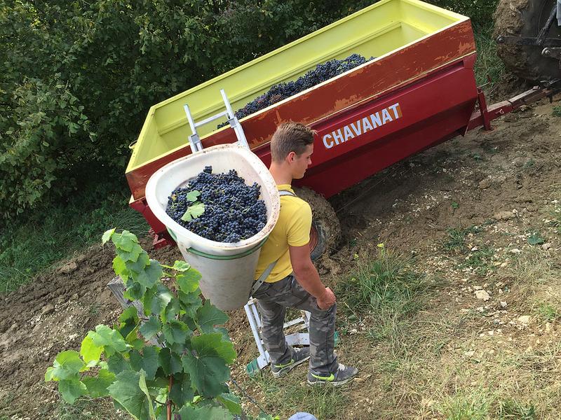 Domaine de la Dentelle_St Martin du Mont