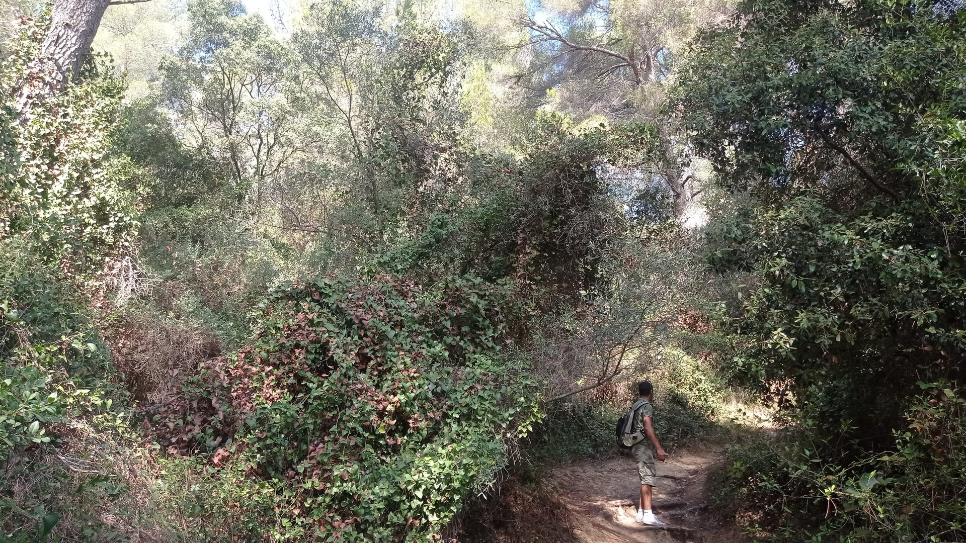 Les parcours du Grand Parc de Figuerolles