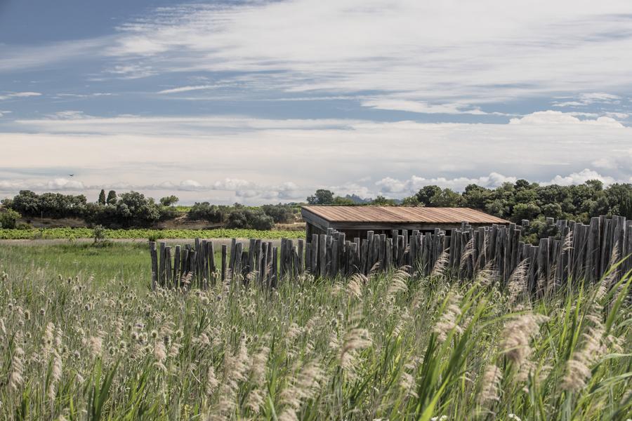 R09 - Etang salé de Courthézon_Courthézon