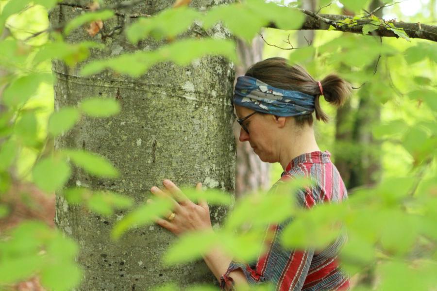 Améliorez votre bien-être intérieur grâce à une immersion nature