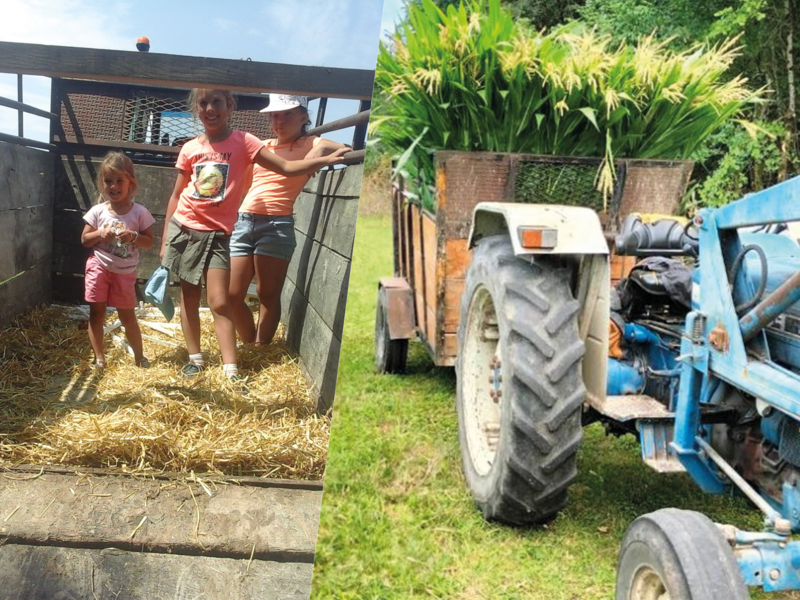 Être fermier, une multitude de missions essentielles