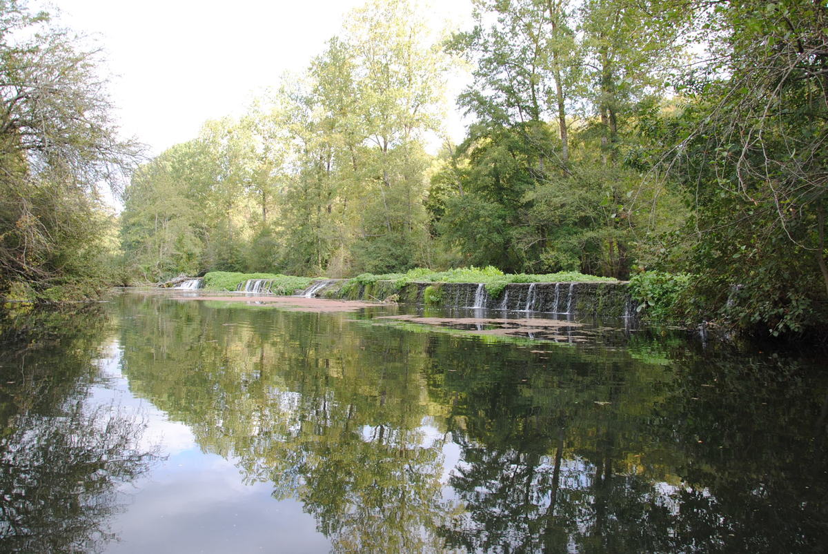 Pêche dans la Charente