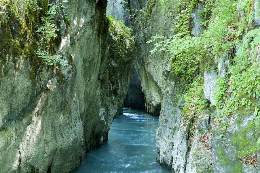 Itinéraire pédestre : rando'bus Les Gorges des Tines