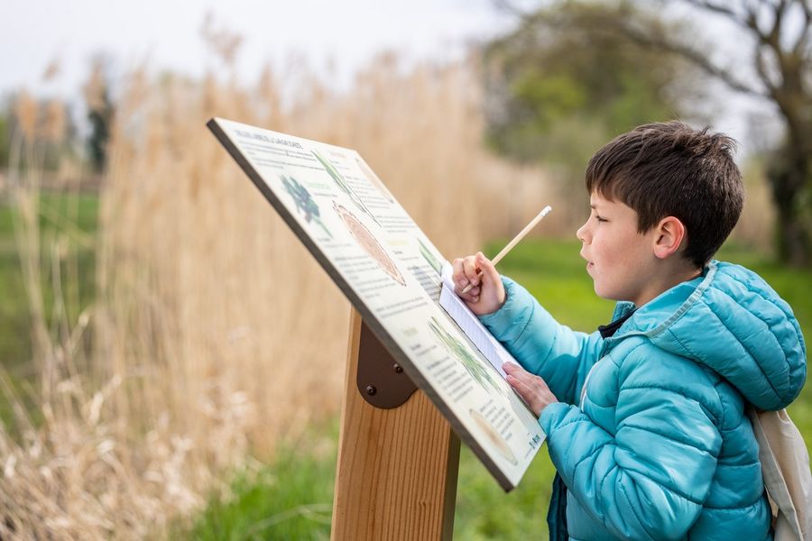 Jeu énigme au bord de l'étang