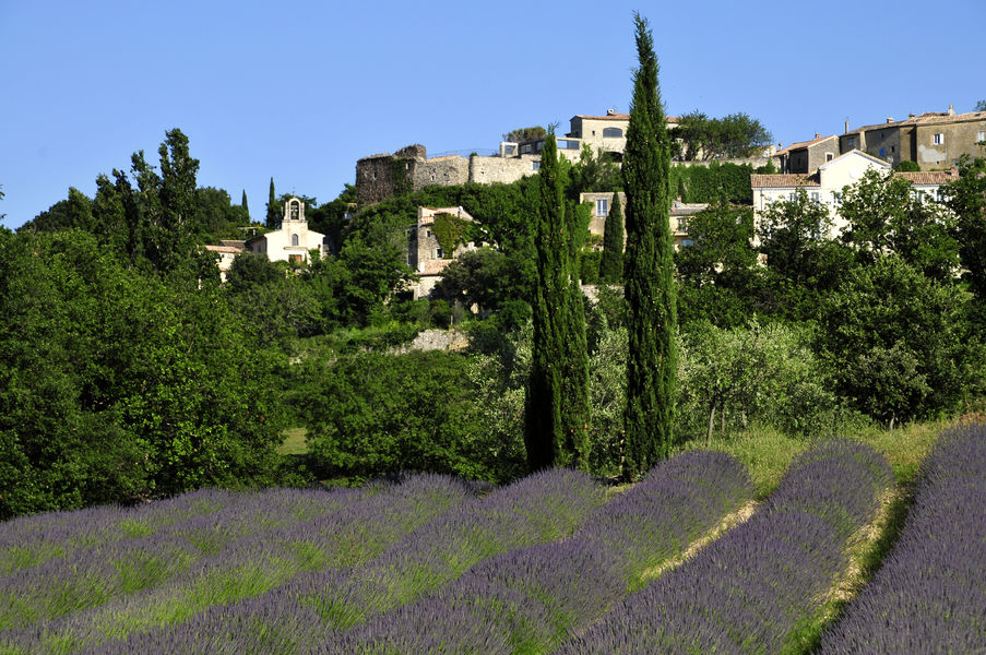 Lavandes - Chantemerle-Lès-Grignan