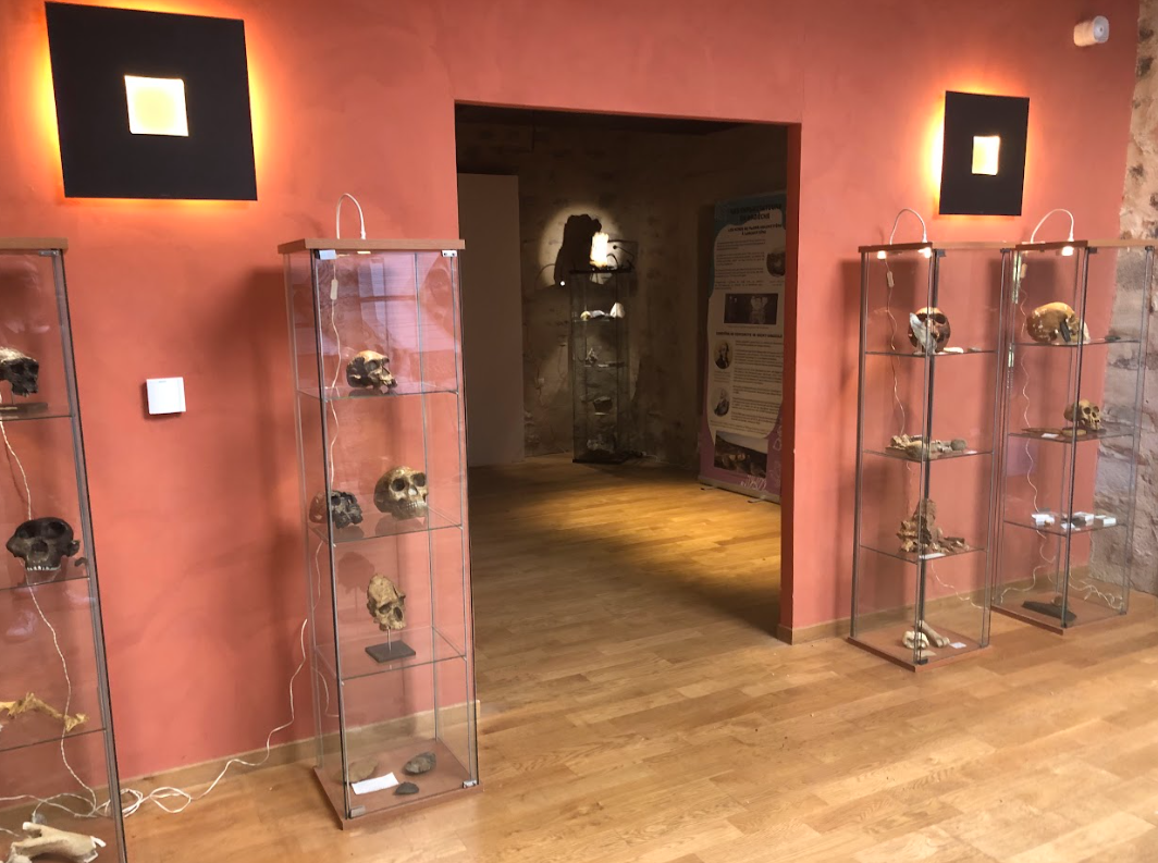 Exposition évolution