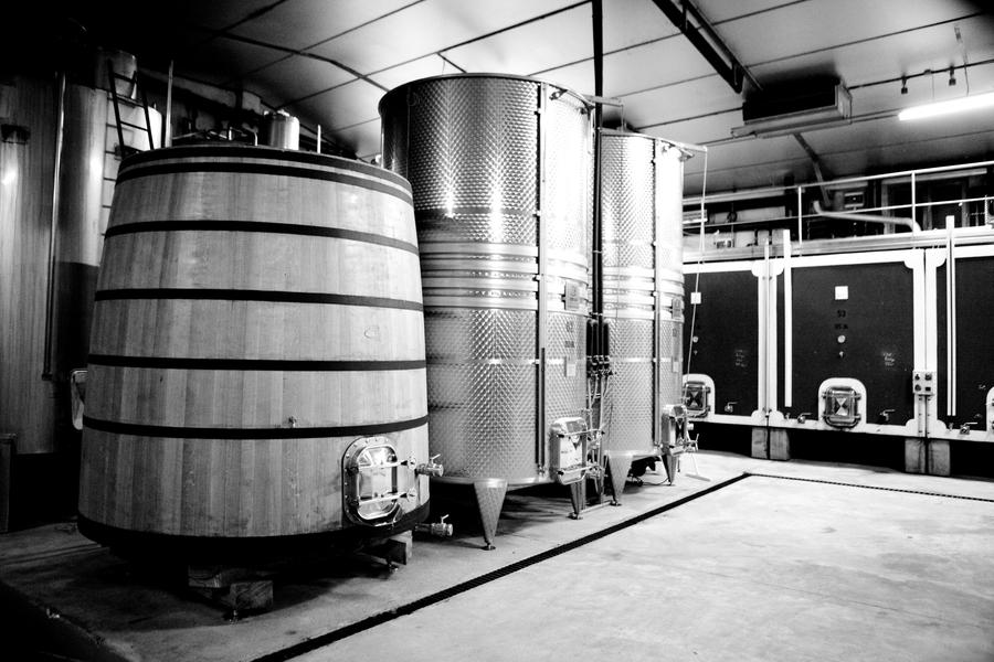 Visite de la Cave de Vinification offerte tout le week-end - Grignan