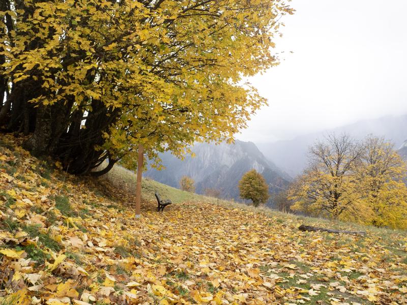 Sentier géologique - balade autour de Villard-Reculas_Villard-Reculas