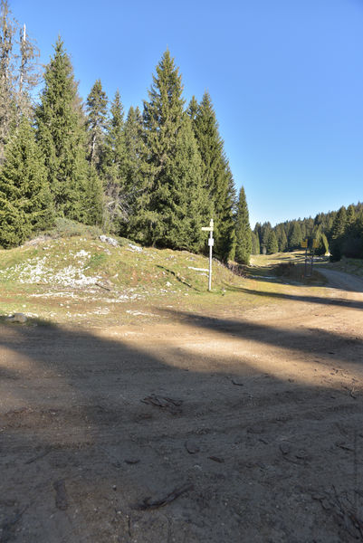 Teppe de Lachat - suivre à gauche