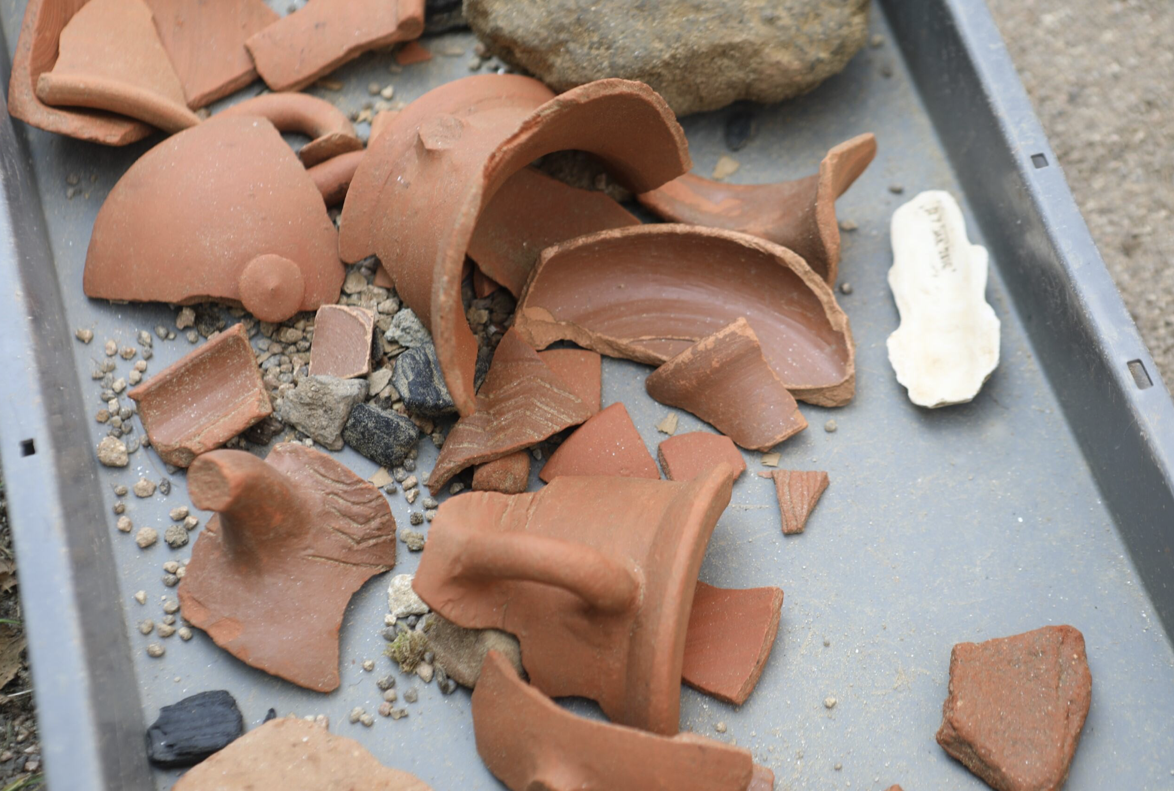 Cassinomagus - Journées Européennes de l'Archéologie