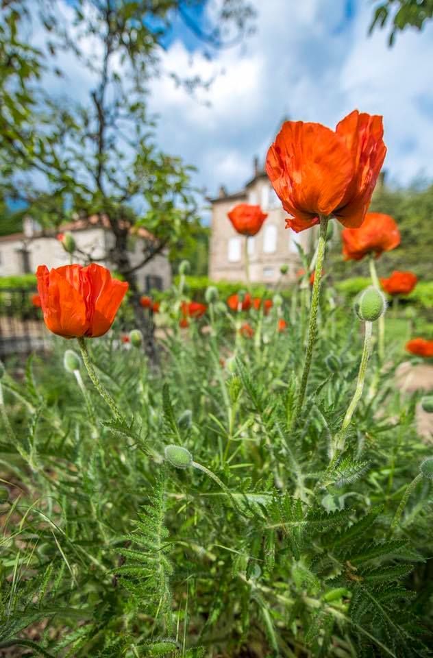 Rendez-vous aux Jardins