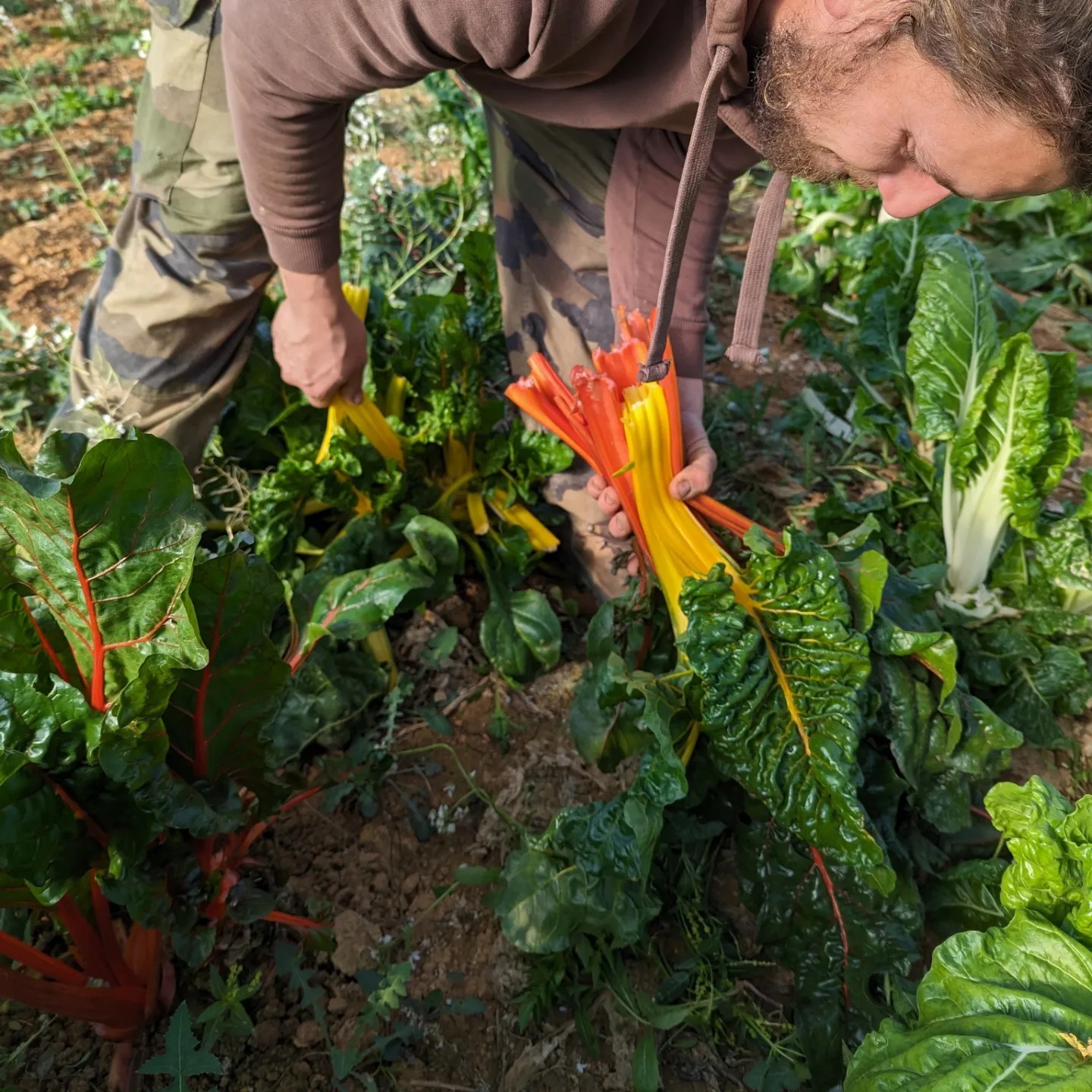Moulin à Huile et ferme de la Cauvine - photo 2
