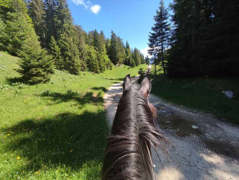 Circuit des Montagnes du Haut-Jura
